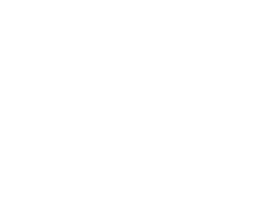 Risk Protection Services Global Logo